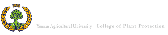 威廉希尔中文官网